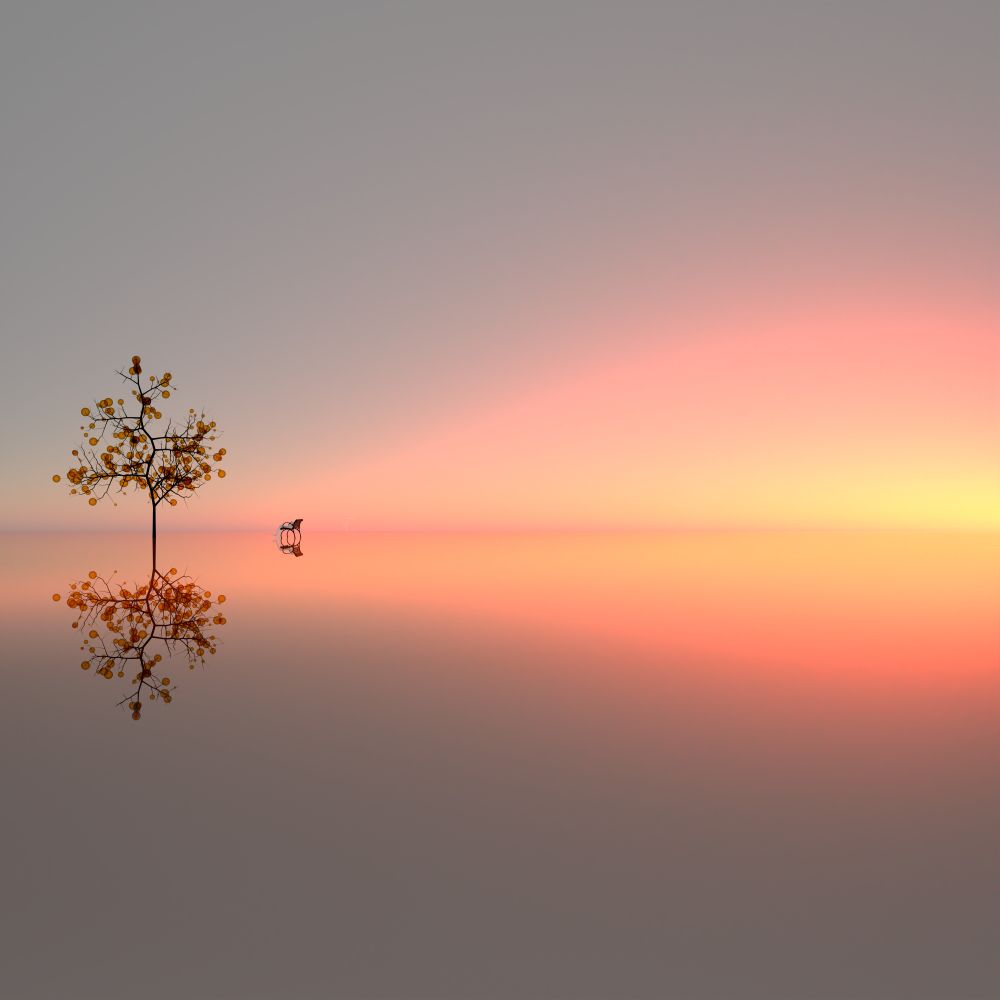 Reativeart
