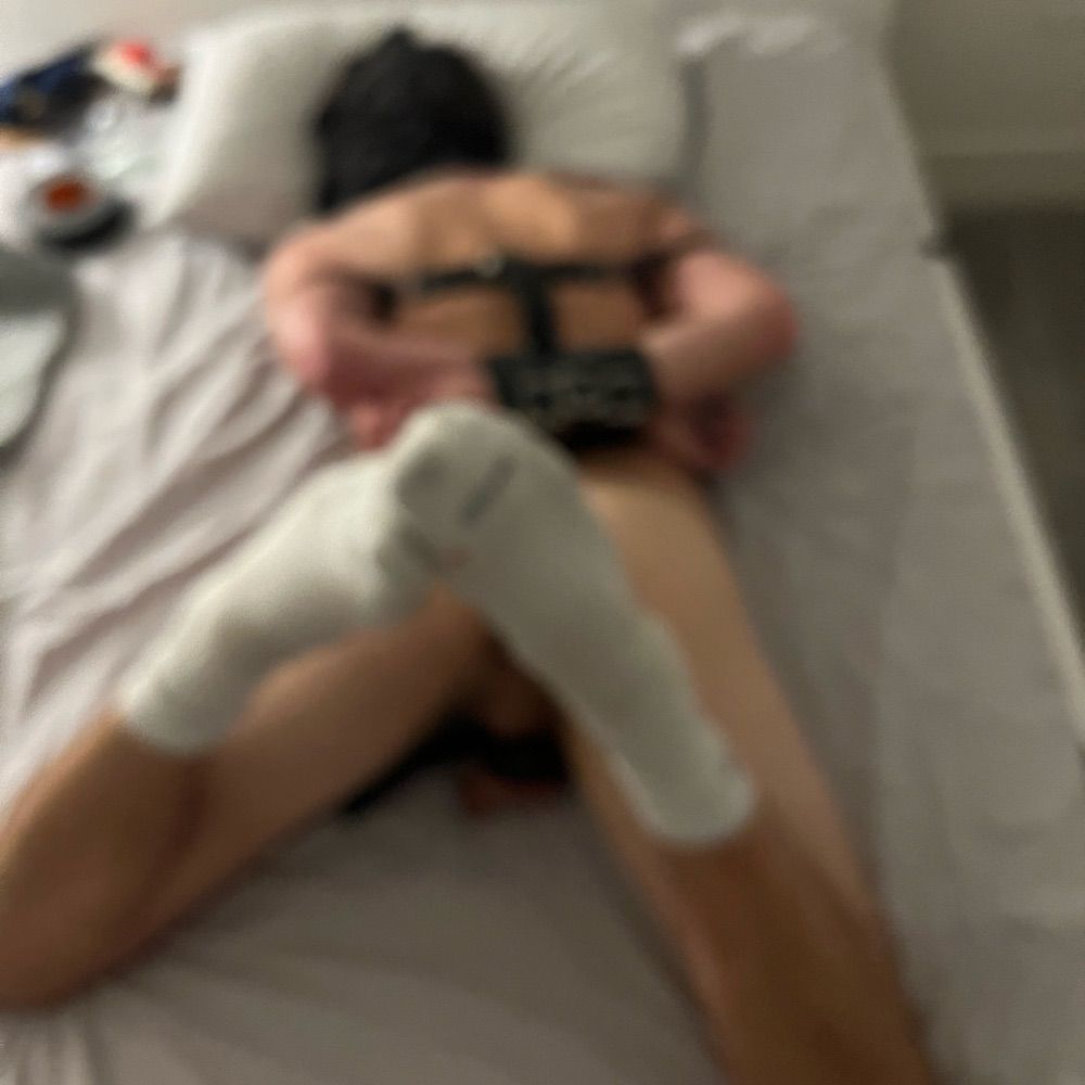 BoyTrainerLA