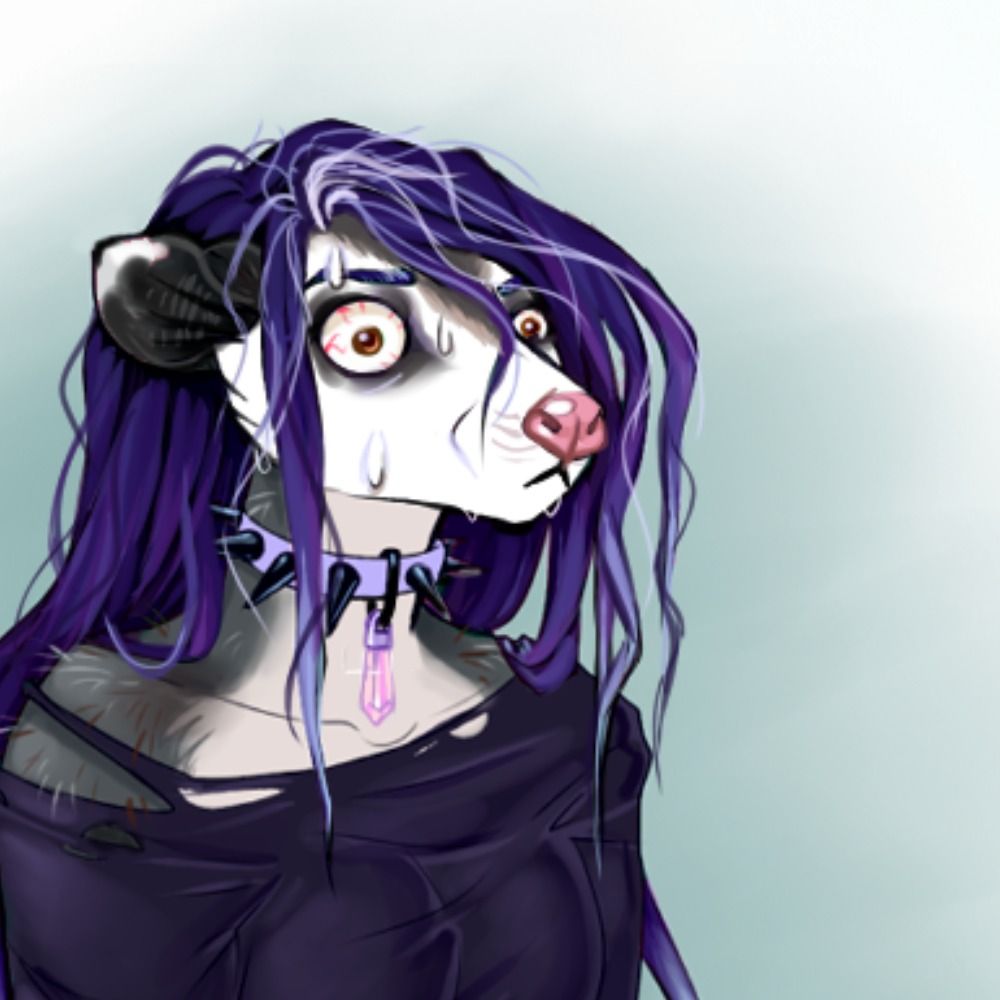 Vera's avatar