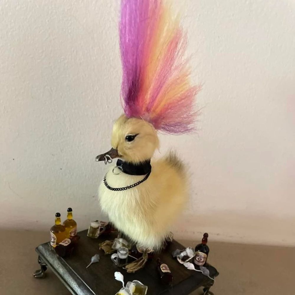 Mabel Jessica Guster