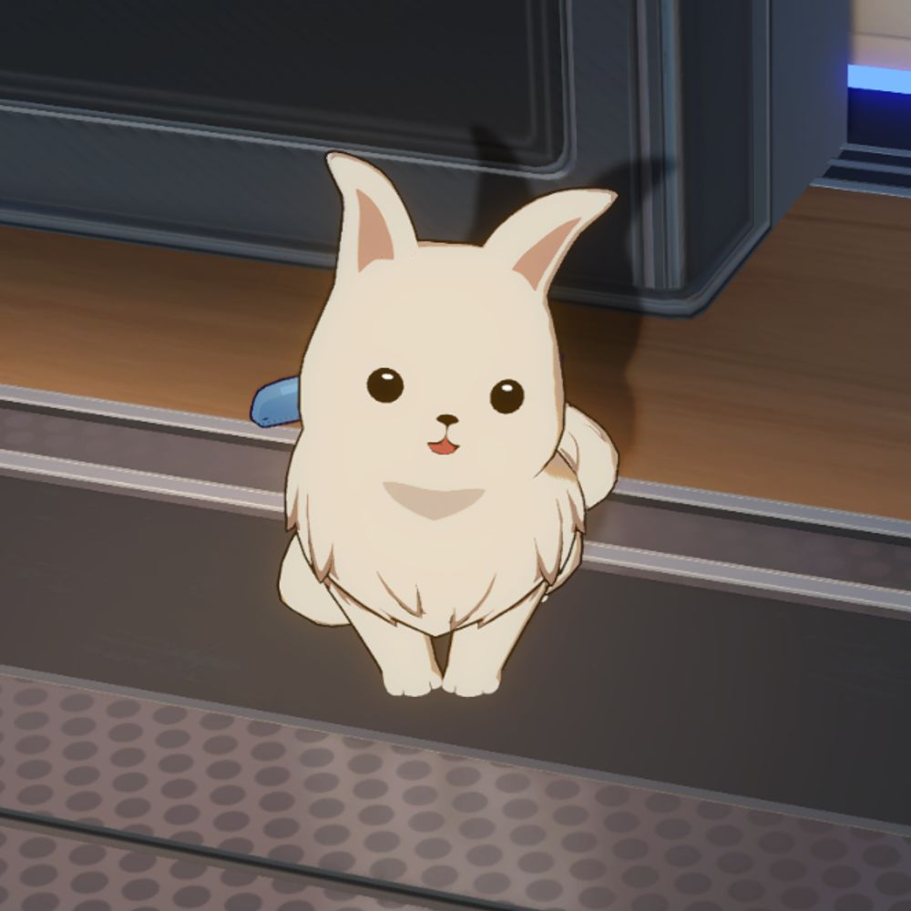 뿅뿅뿅