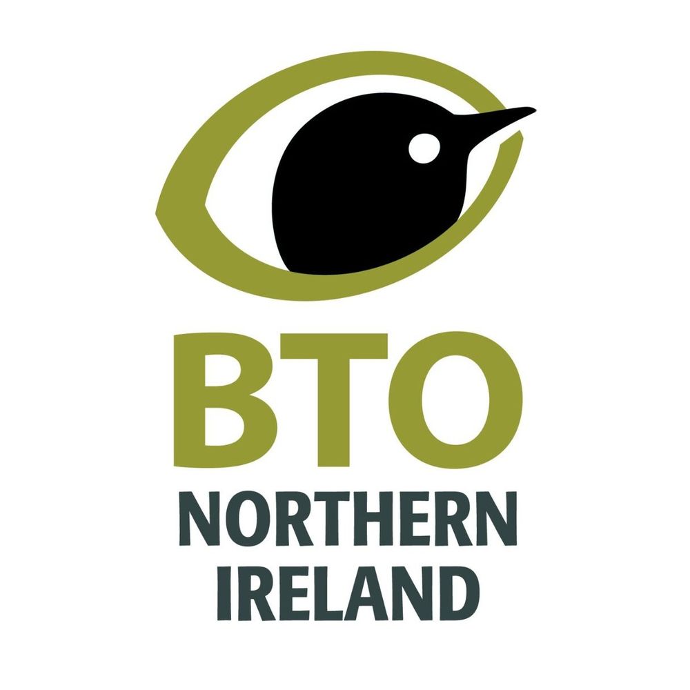 Profile picture bto-ni.bsky.social