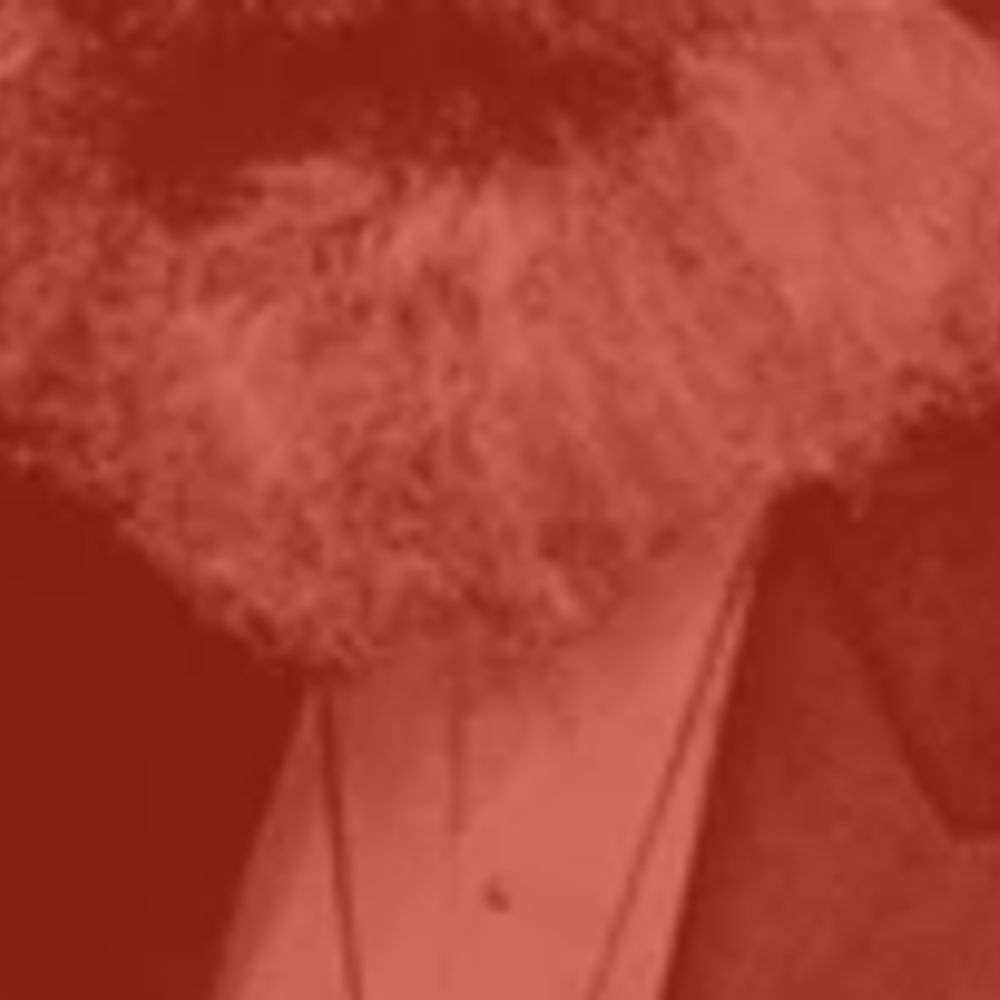 X Marx DeSpot