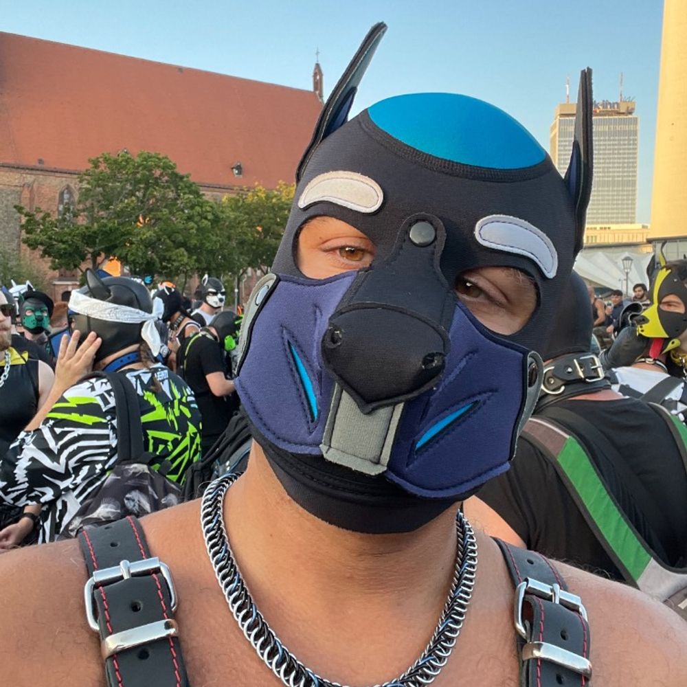 Pup Helikos