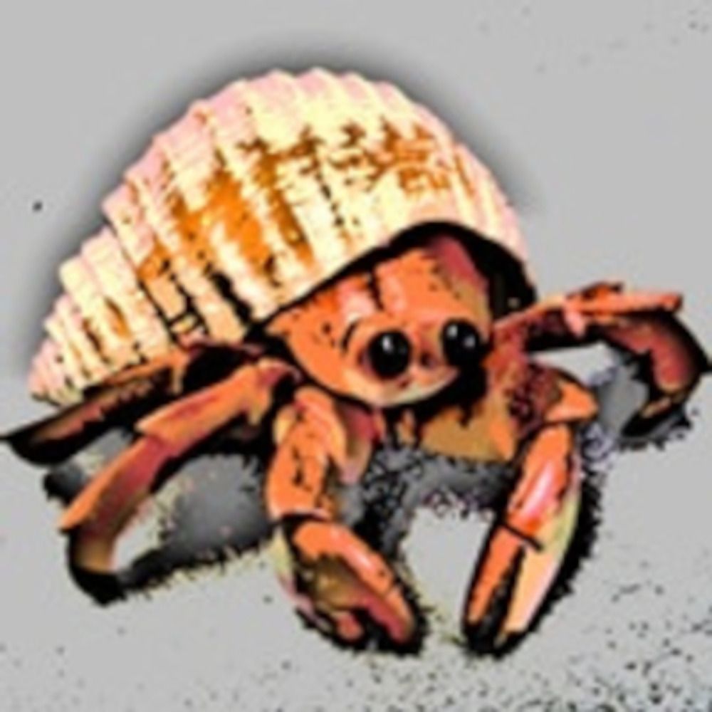 Pagurus