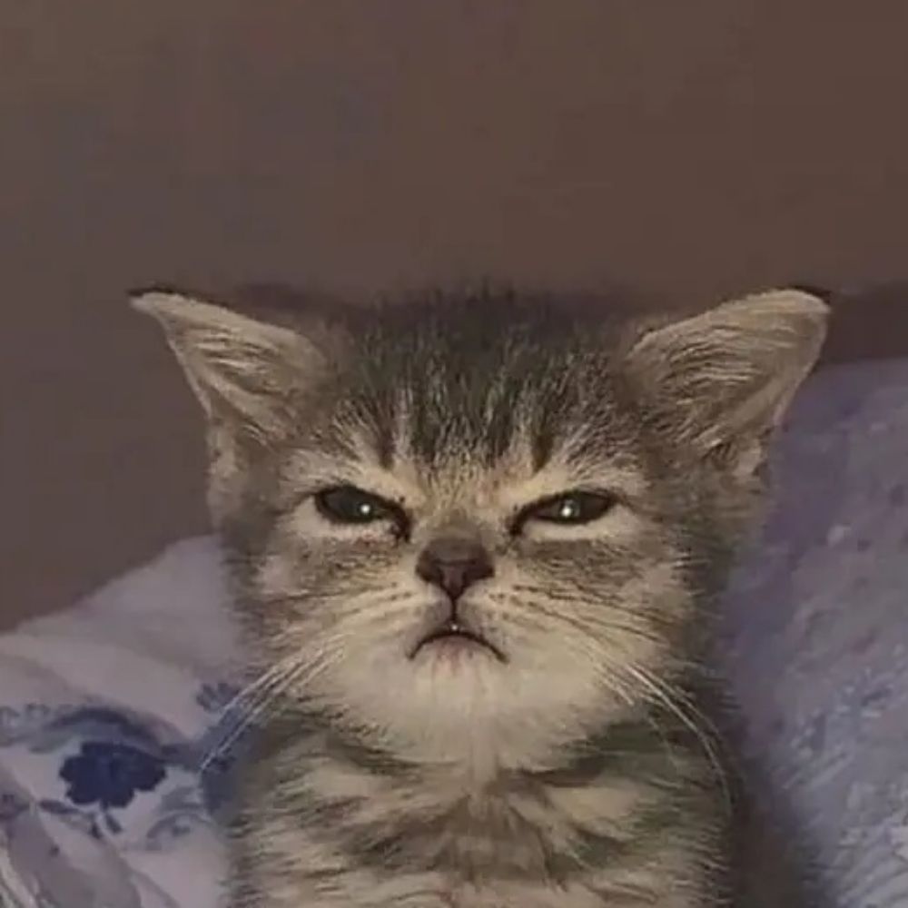 MLFQ