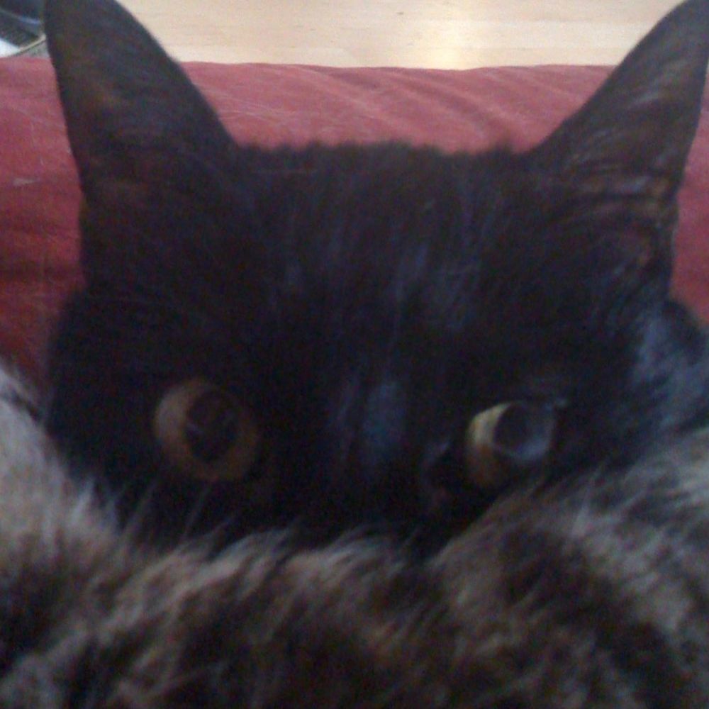 Dr. Kosmo