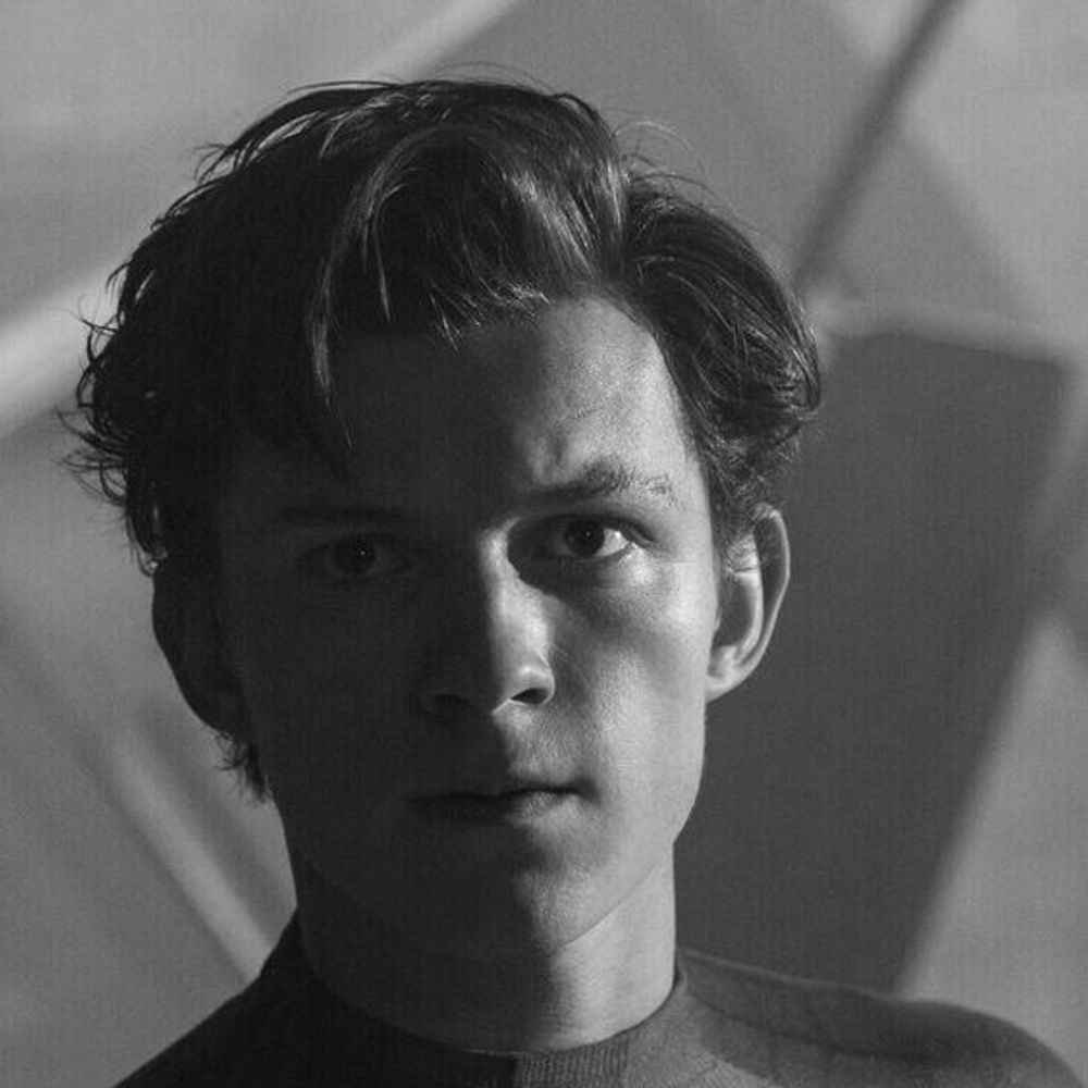 Tom Holland Plat D