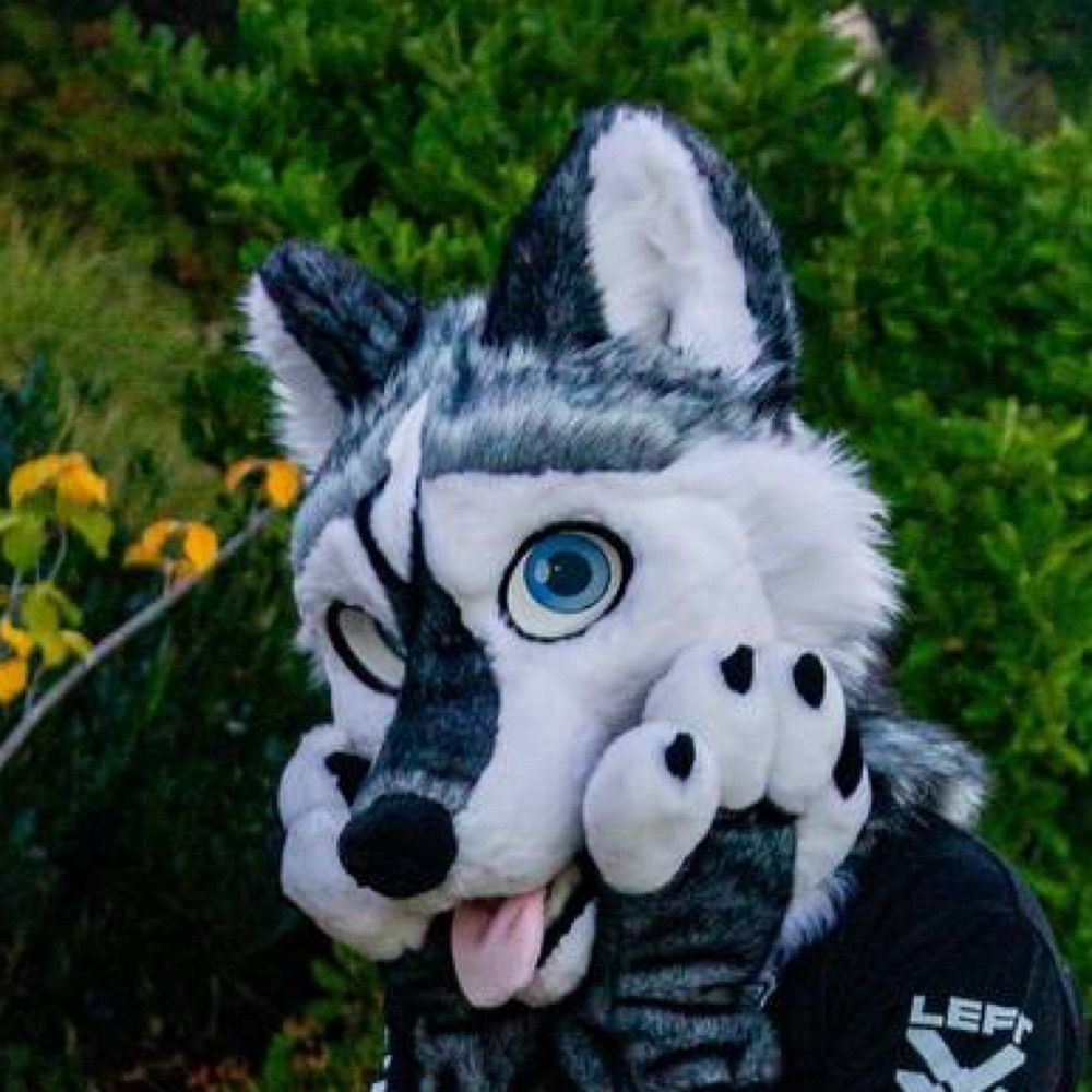 Koda Husky 🔜 FWA