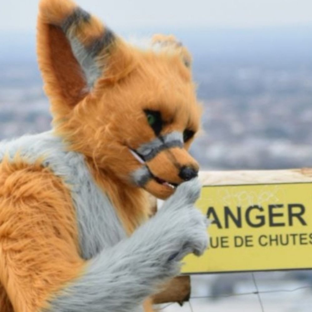 MrFoxit 🍋
