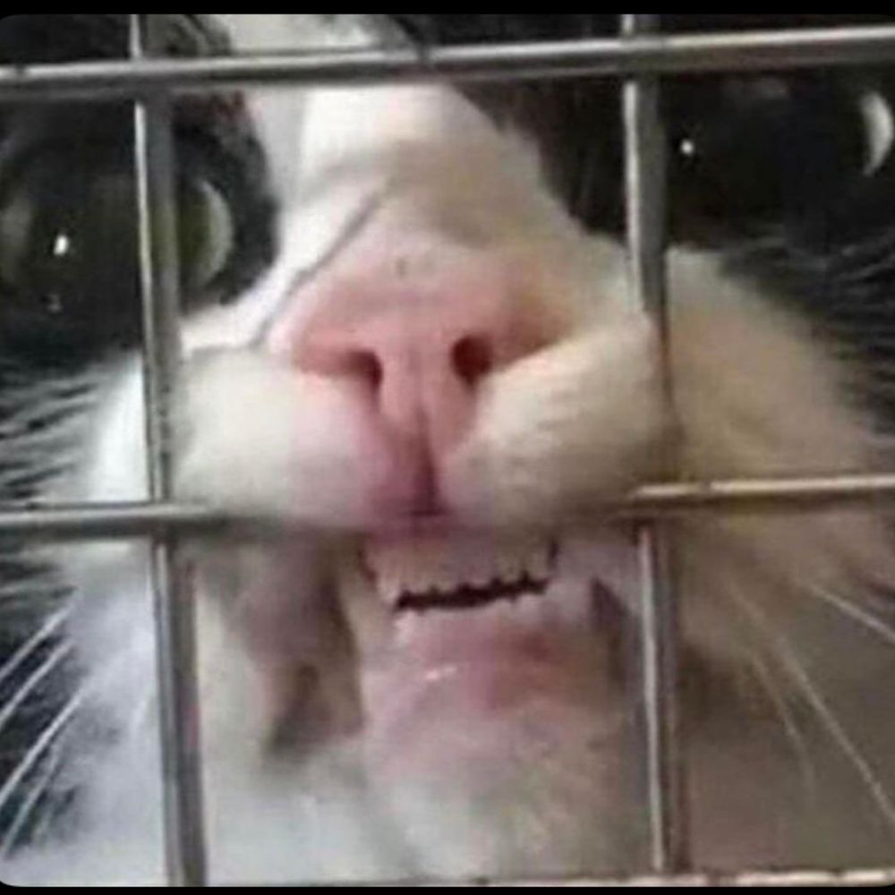 Cunt Orlok
