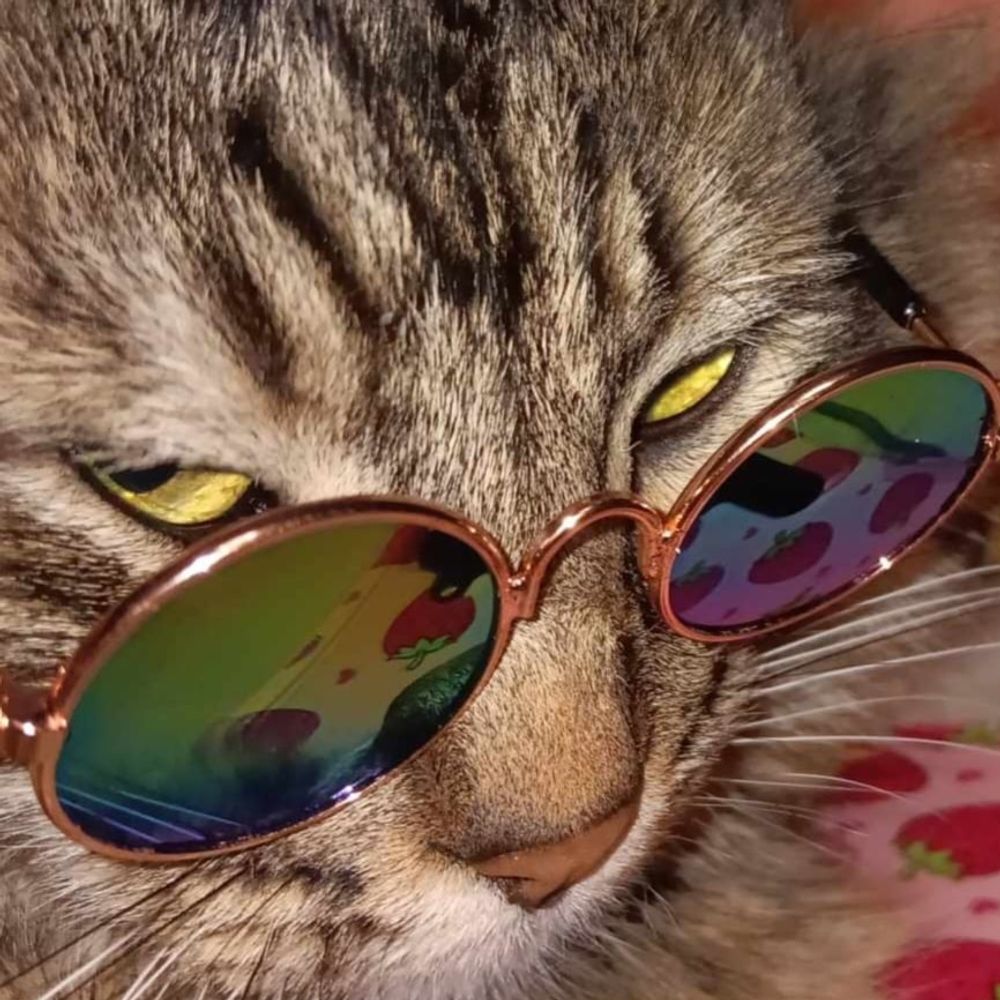 Arey M🔞🏳️‍⚧️