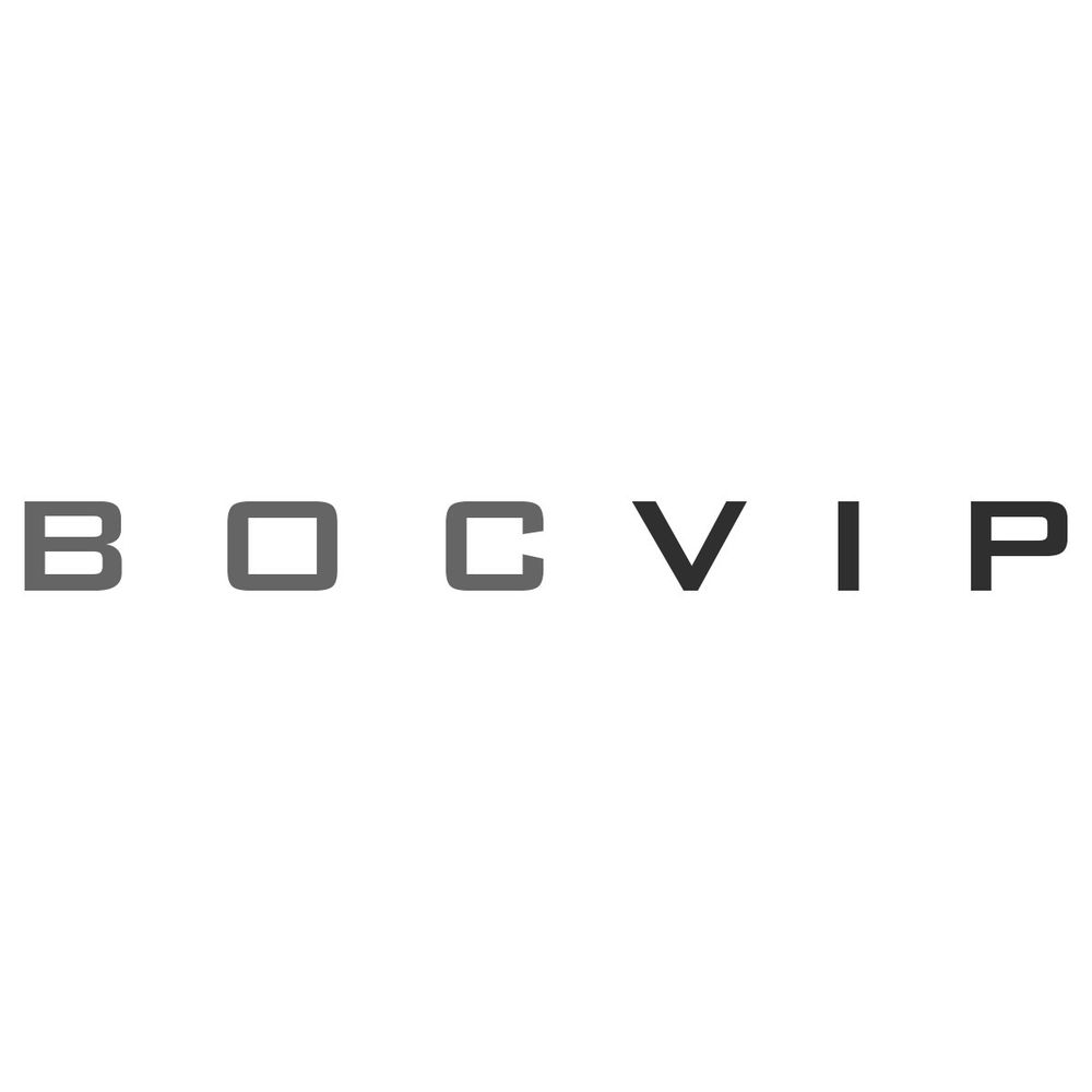 BOCVIP's avatar