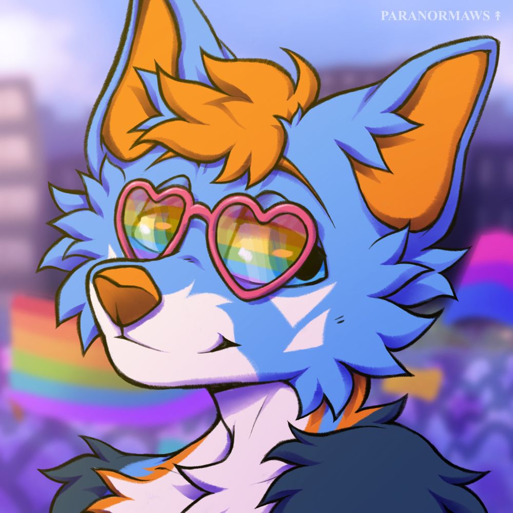 Meek The Husky