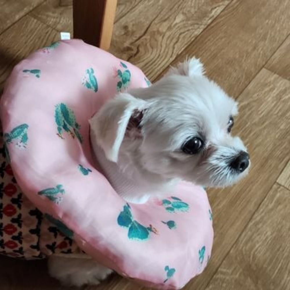 ✨연쓰으✨