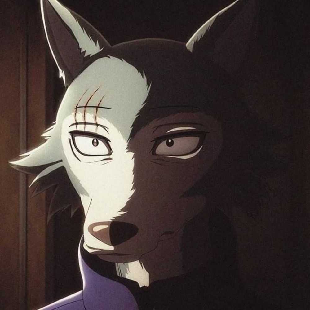 Daduzz