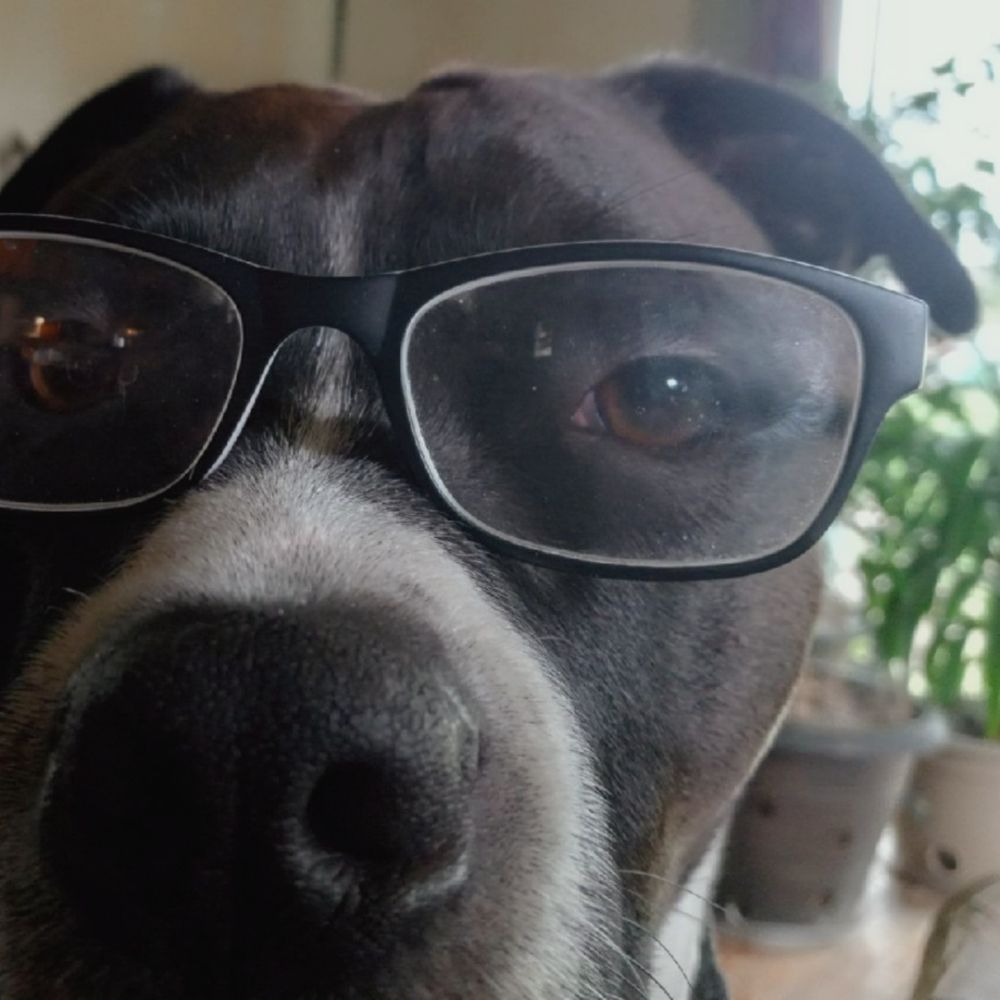 Fruity Pibbles