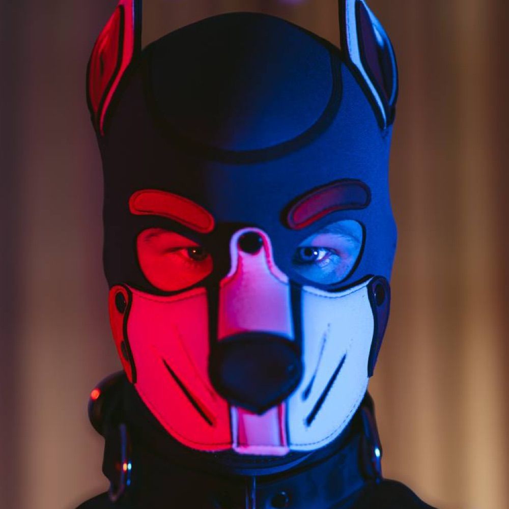 Pup Tauri 💙❤️🤍 🔜 MRW