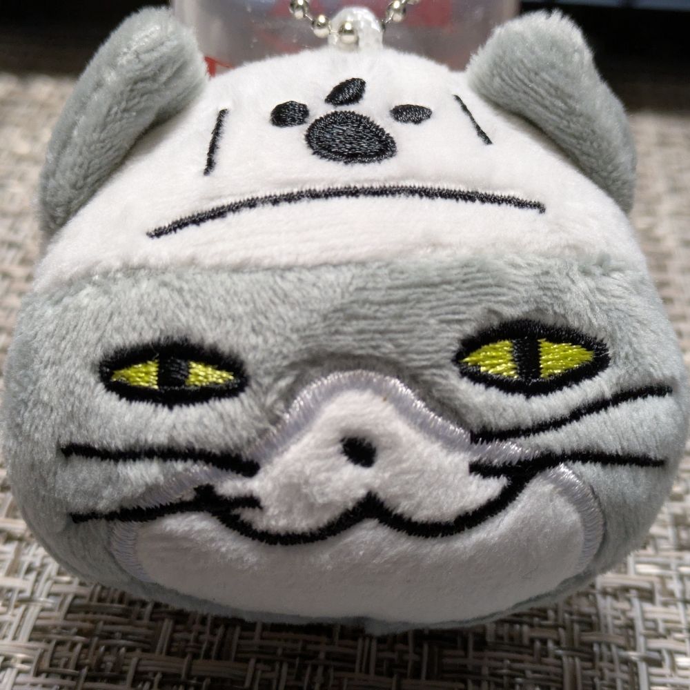 きたさん