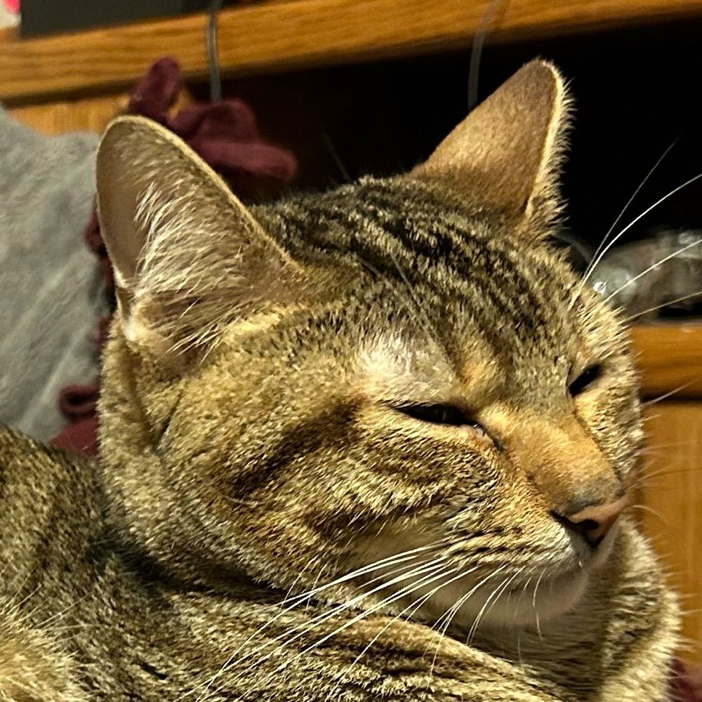 Adam