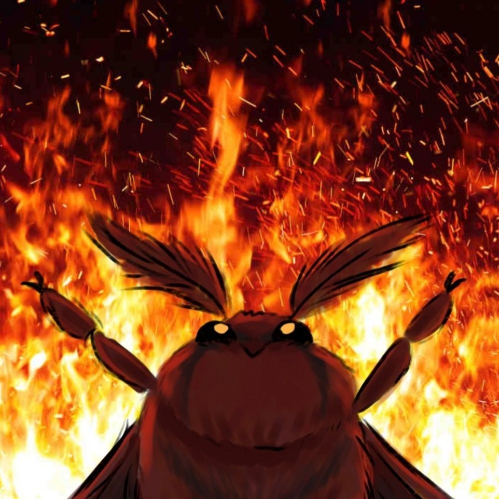 astermoth
