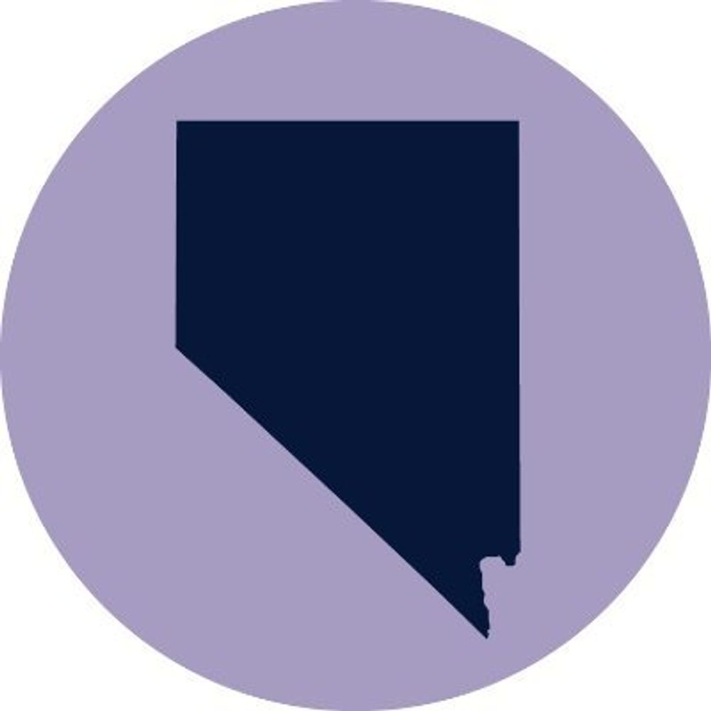 The Nevadan News