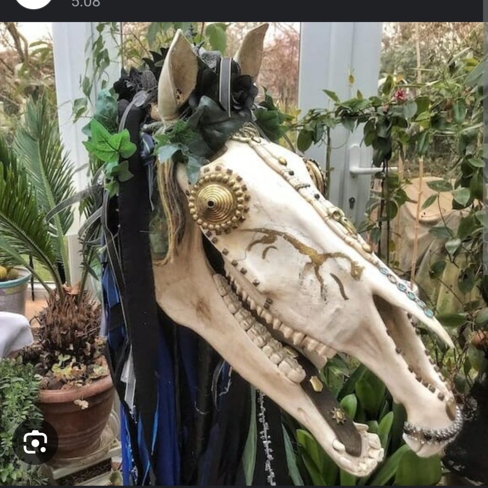Sera