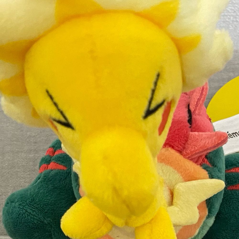 はとよめ