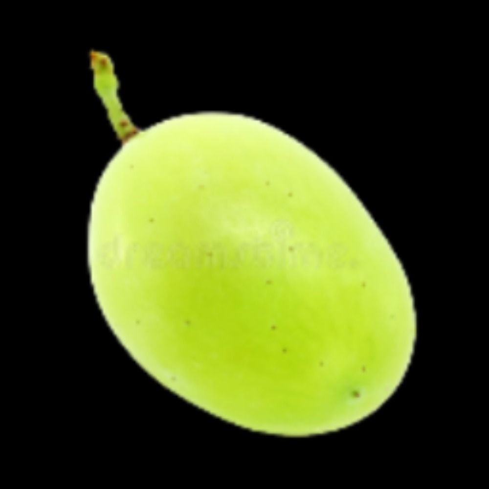JaumApenas🍇