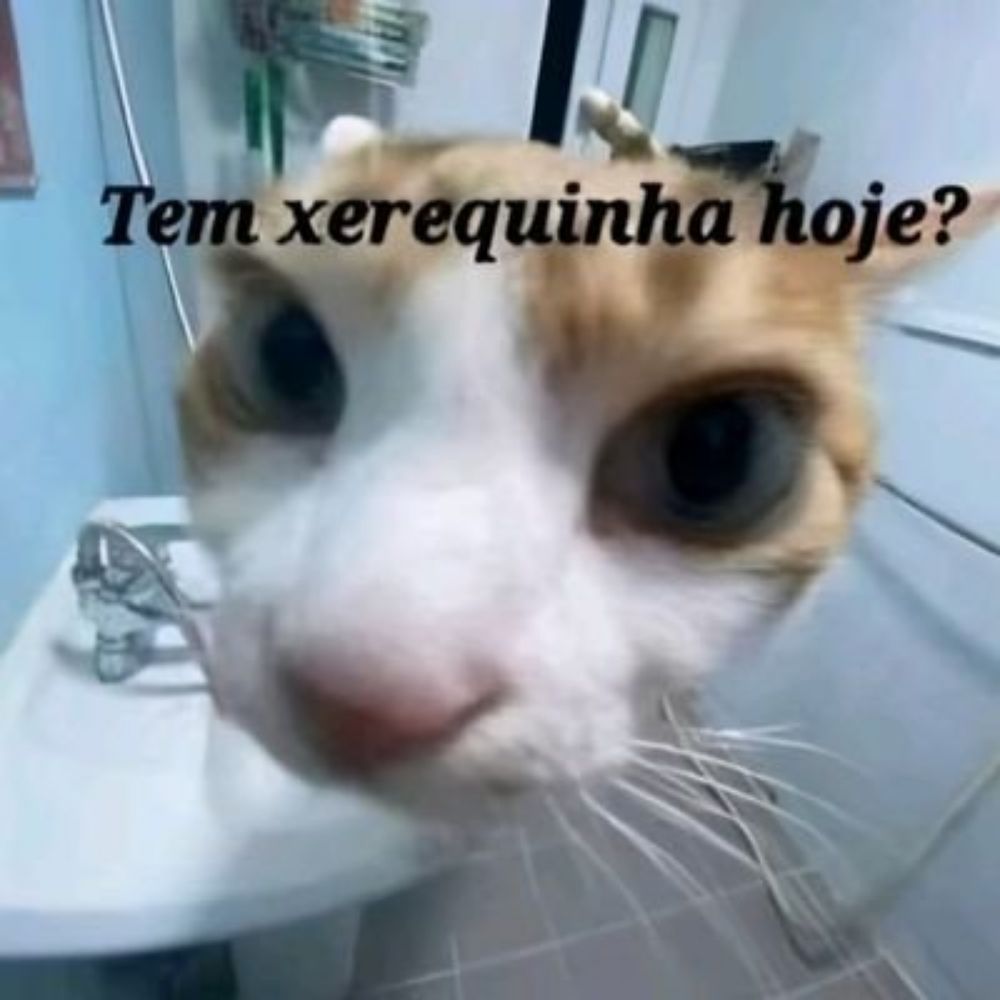 carinha de pilantra