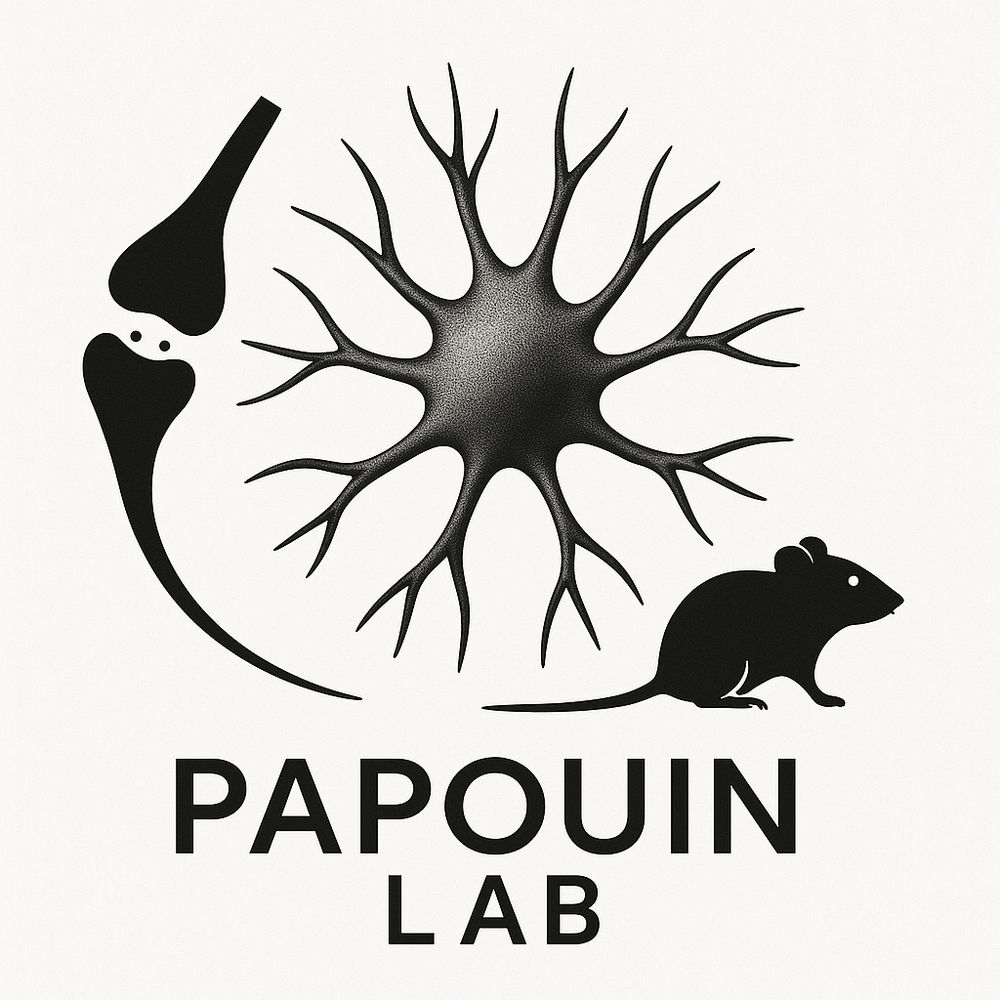 Papouin Lab @ WashU