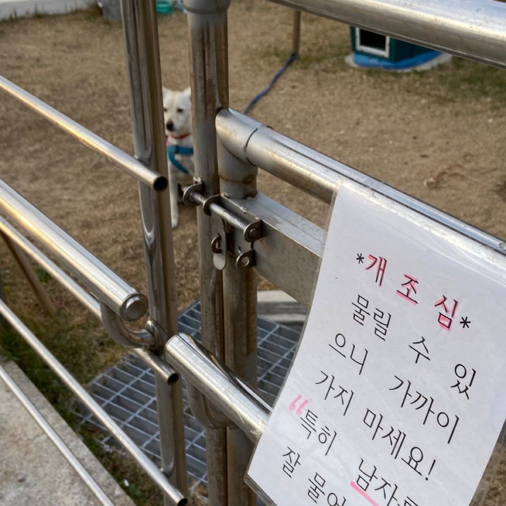 부산바이브스 BusanVibes