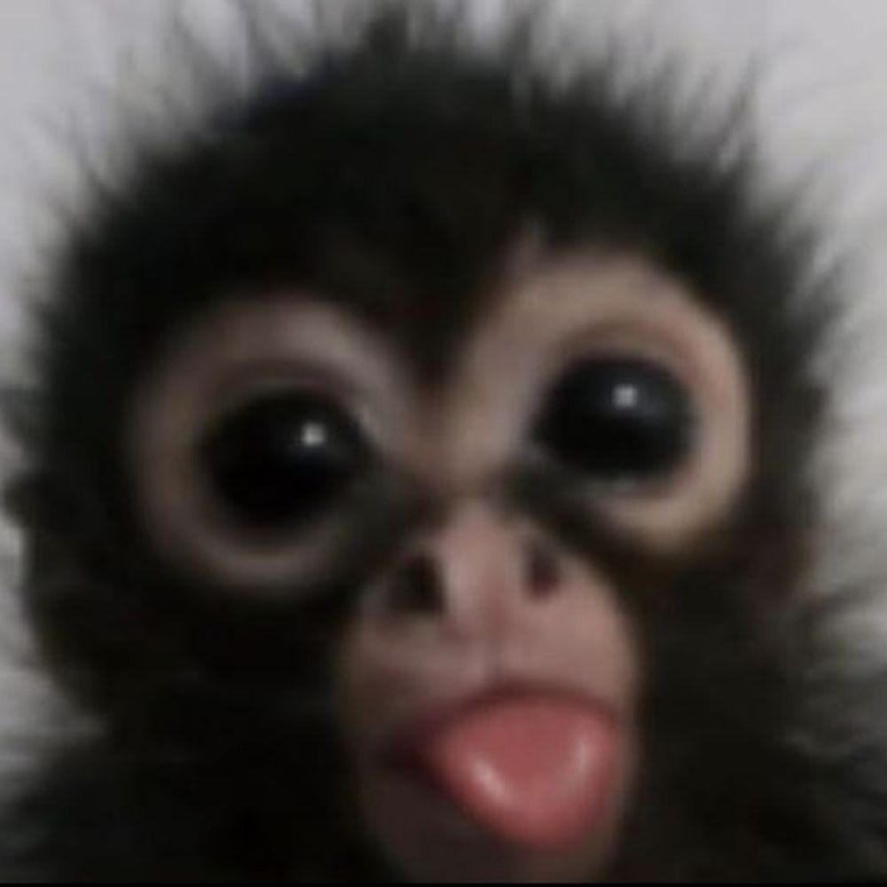 Yann2bis