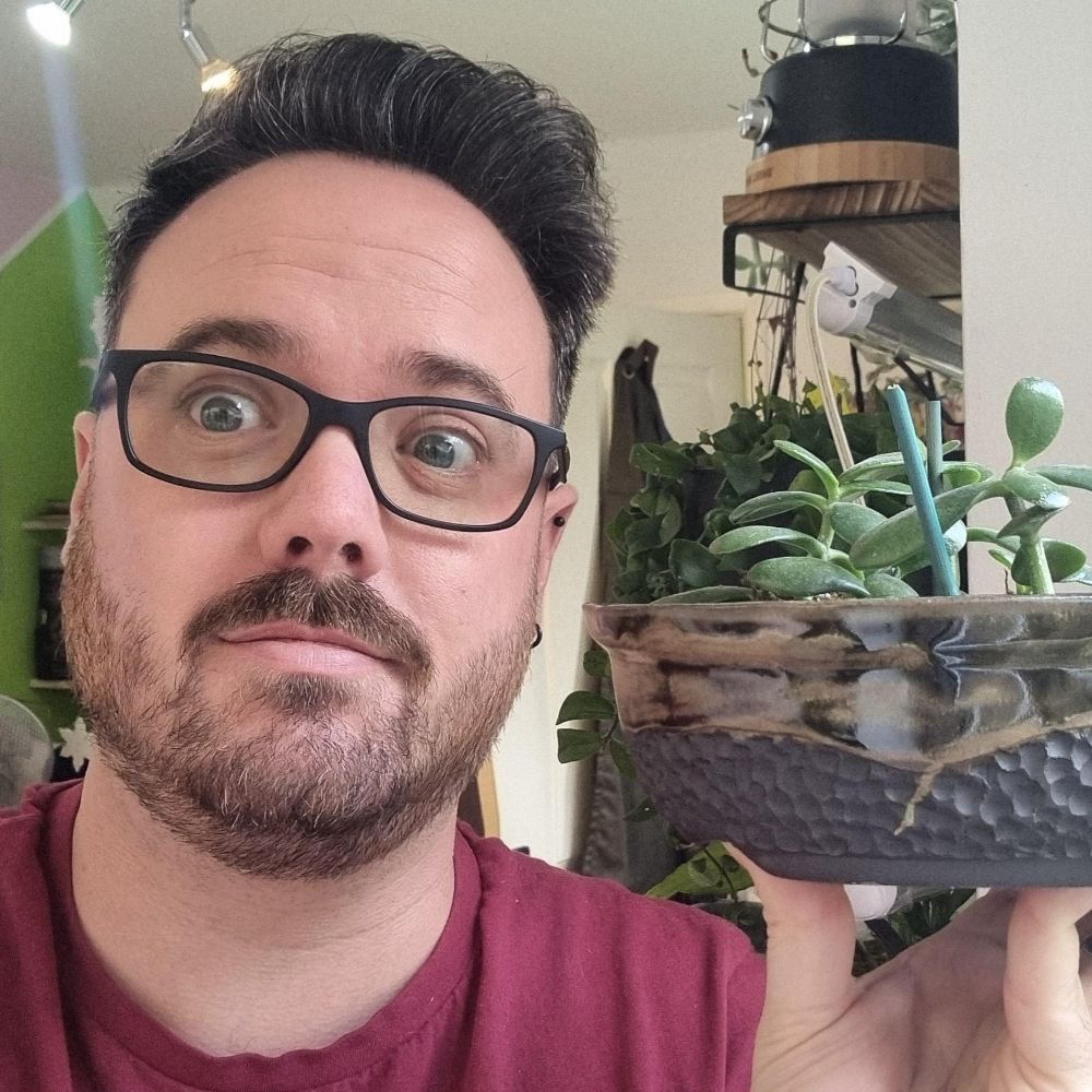 Alex Carroll Ceramics