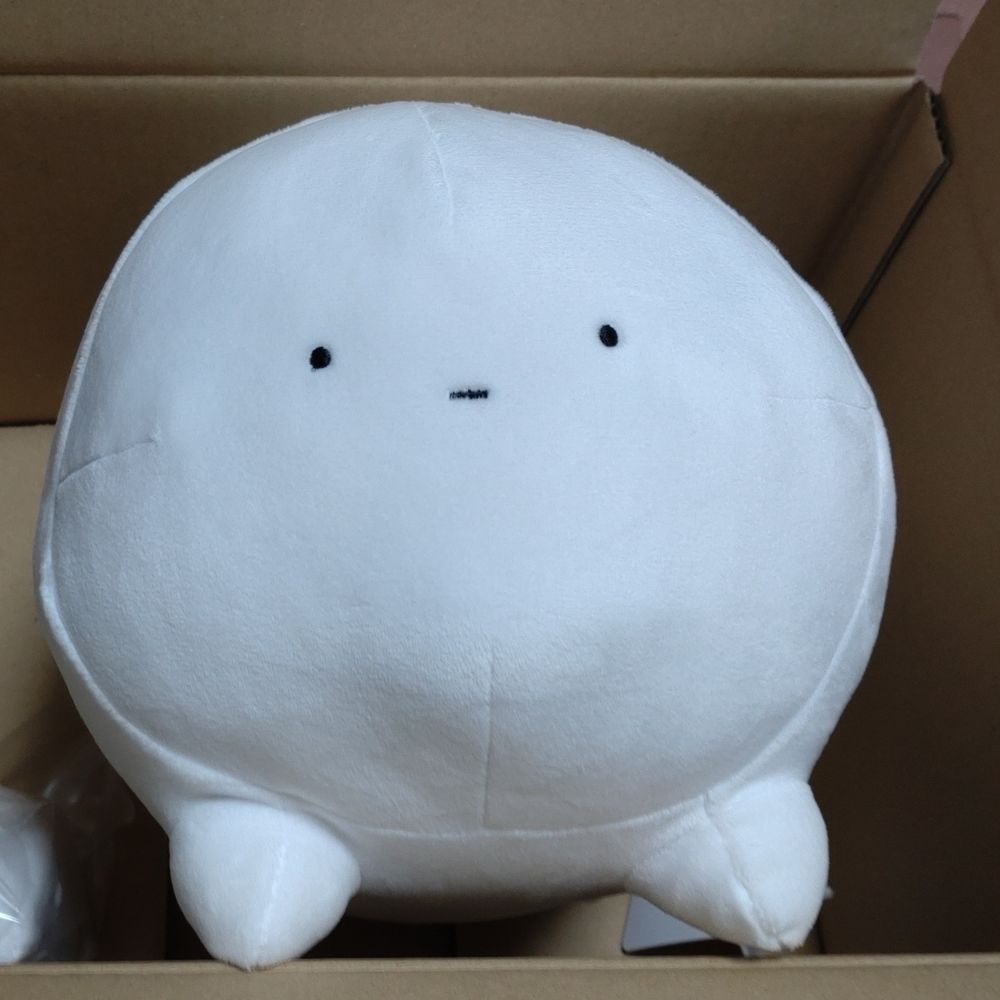 かのこ
