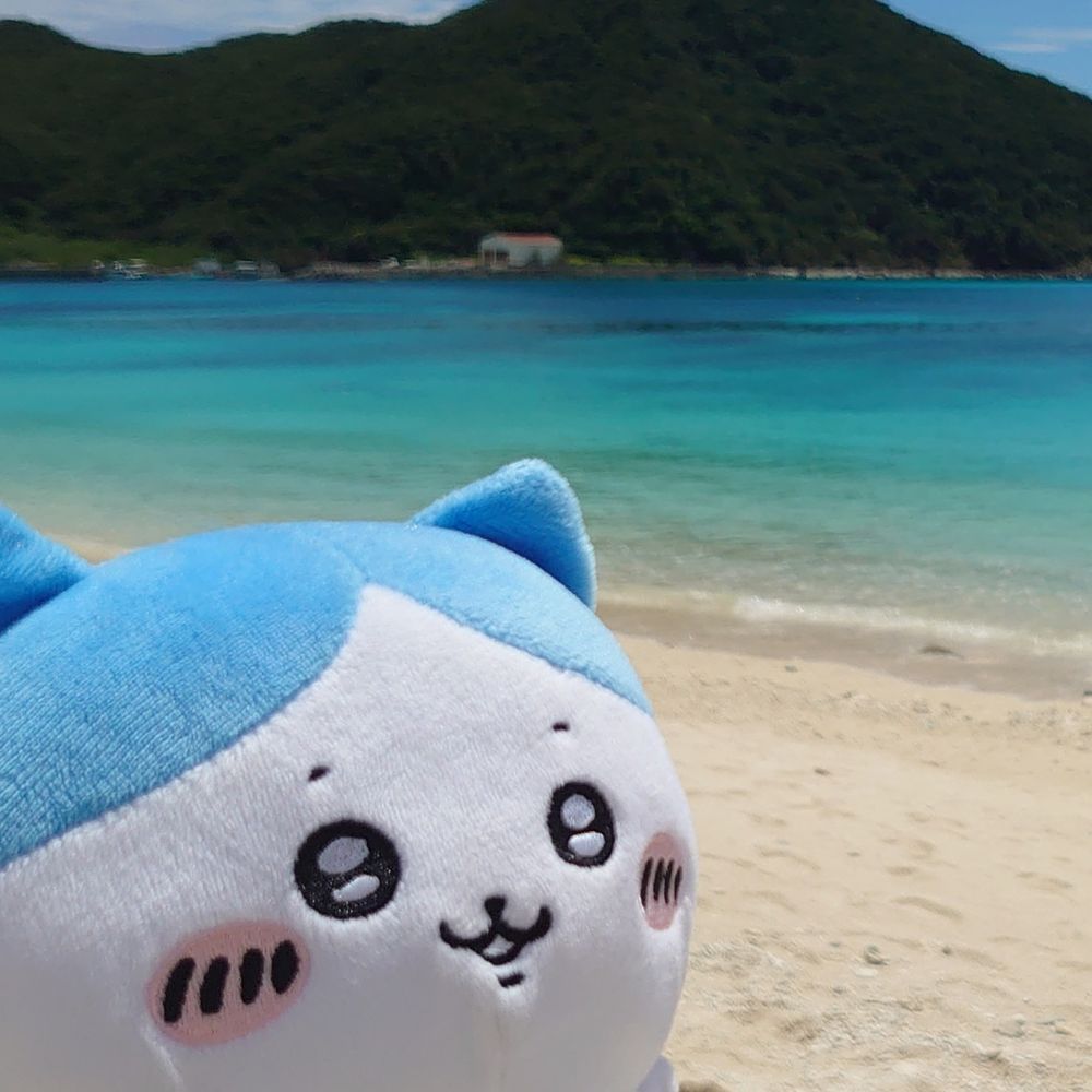 シヤ