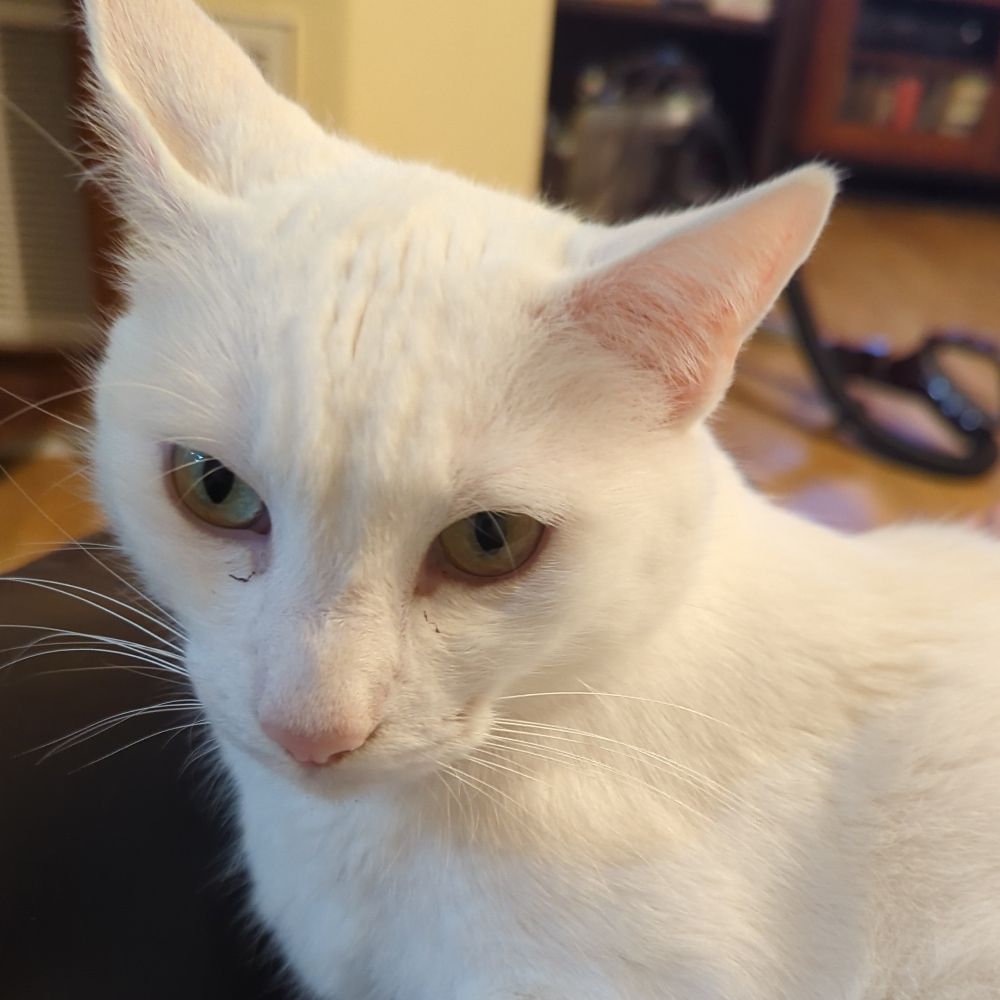 Casper
