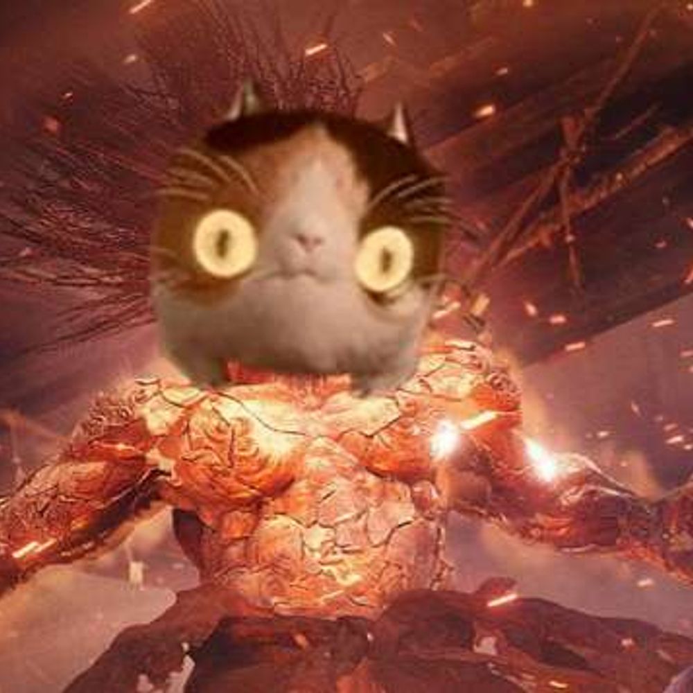 Solid Catto