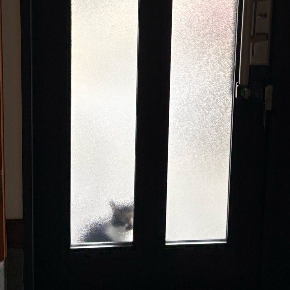 け