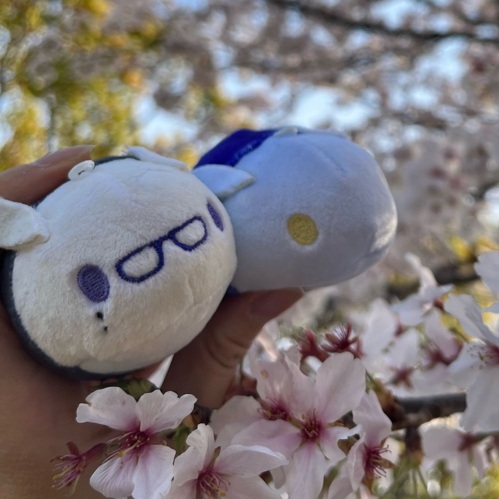 ゆずりはっぱ