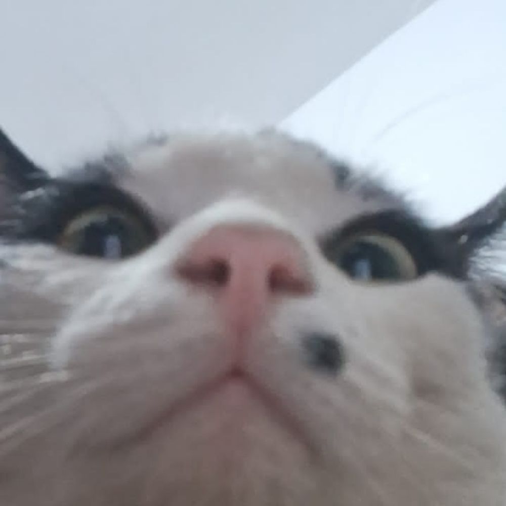 Driks