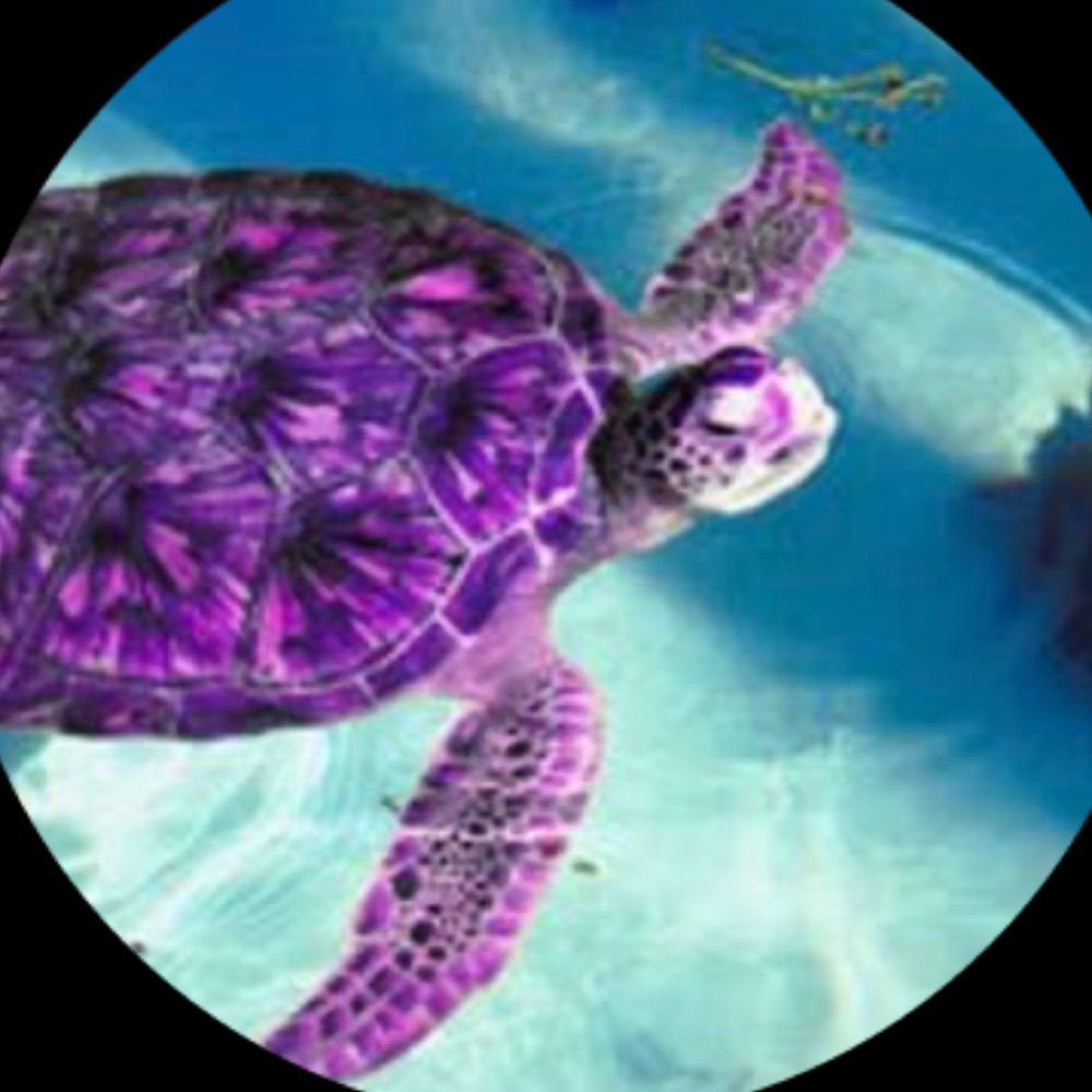 PurpleTurtle