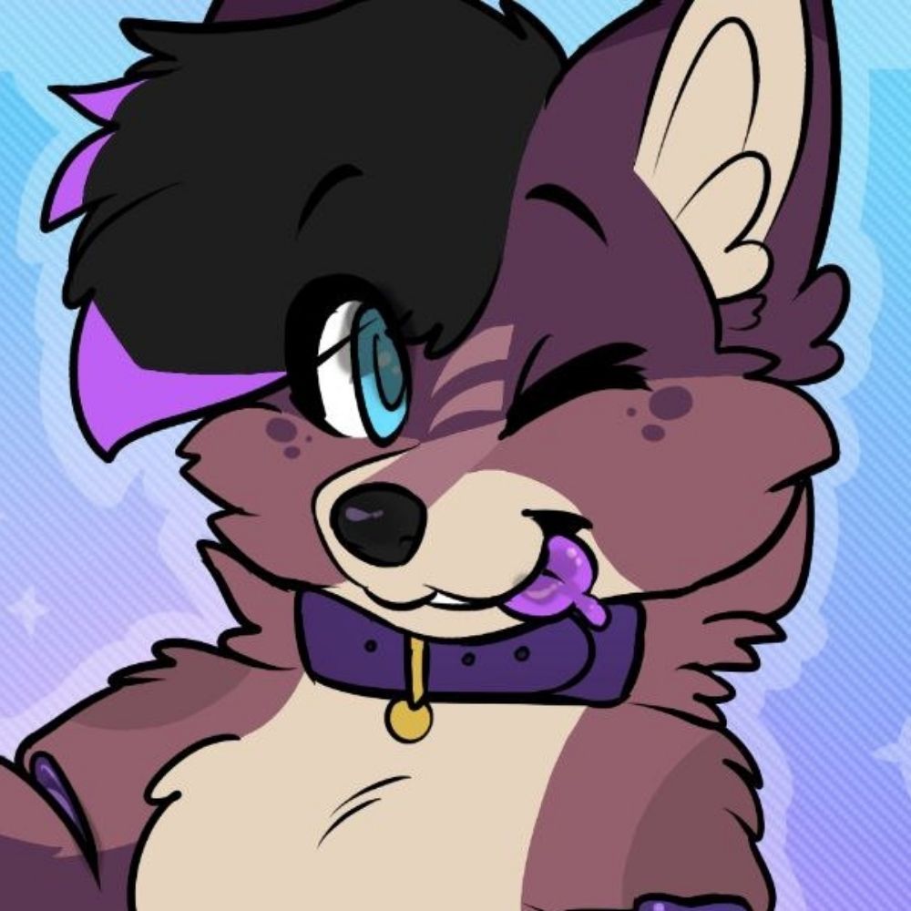 Bingus CFz#1903
