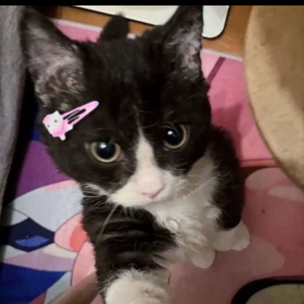mel