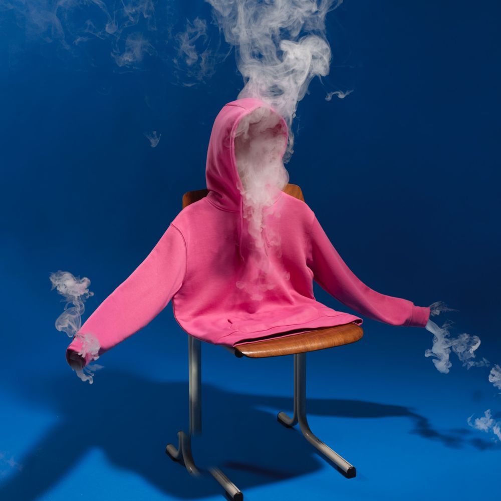 Eline van Strien