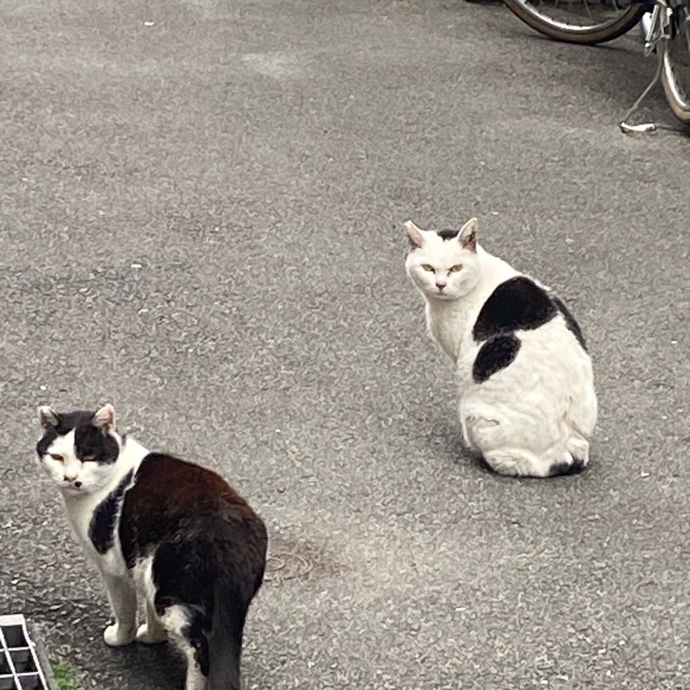 嗚呼みちる
