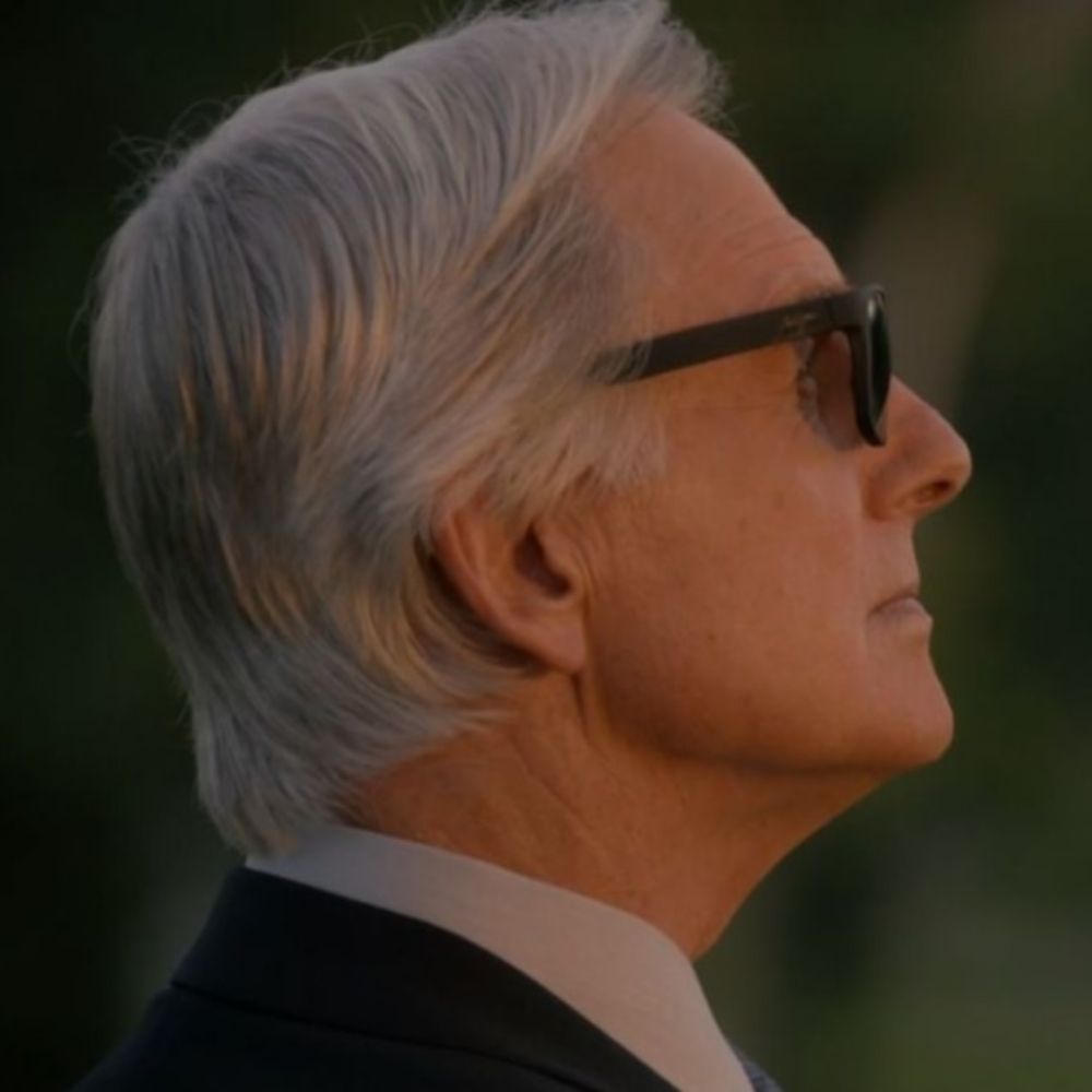 Mark Harmon 