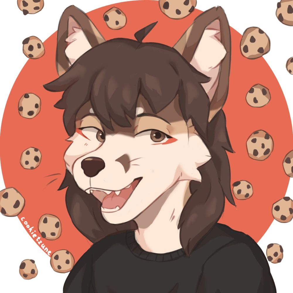 cookietzune🍪 (cmms are open)