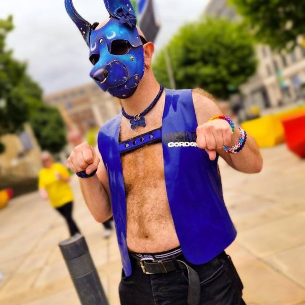Pup Gallifrey