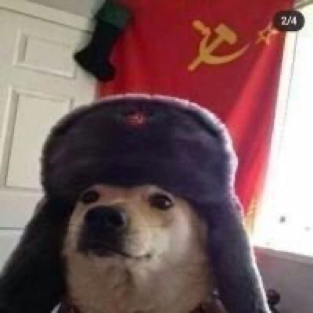 had